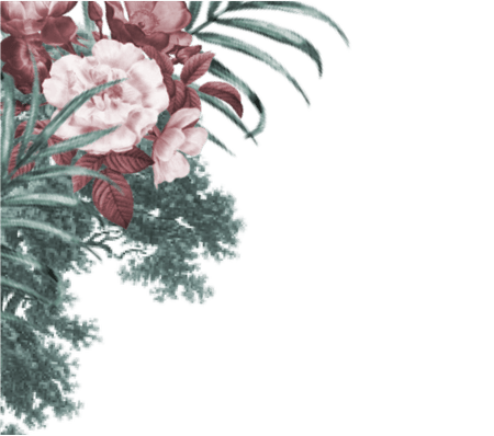 frame