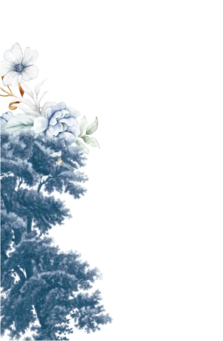 frame