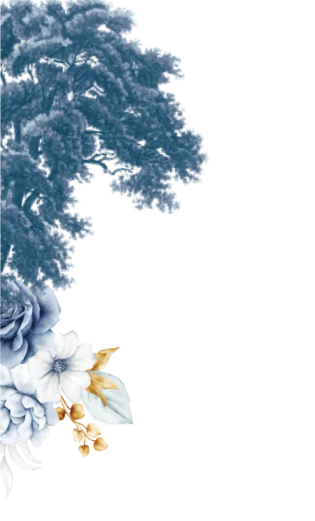 frame