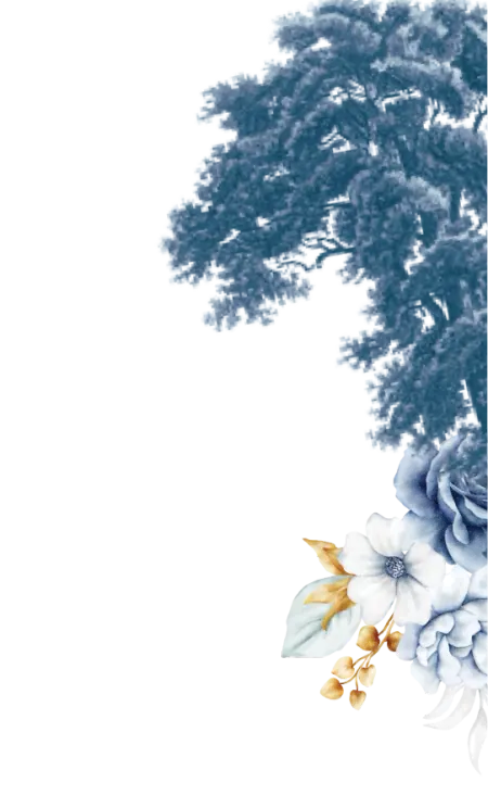 frame