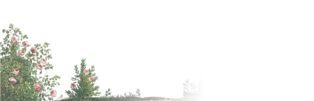 bm-2.webp