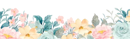 bm.webp