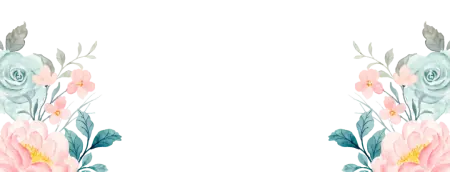 bm.webp