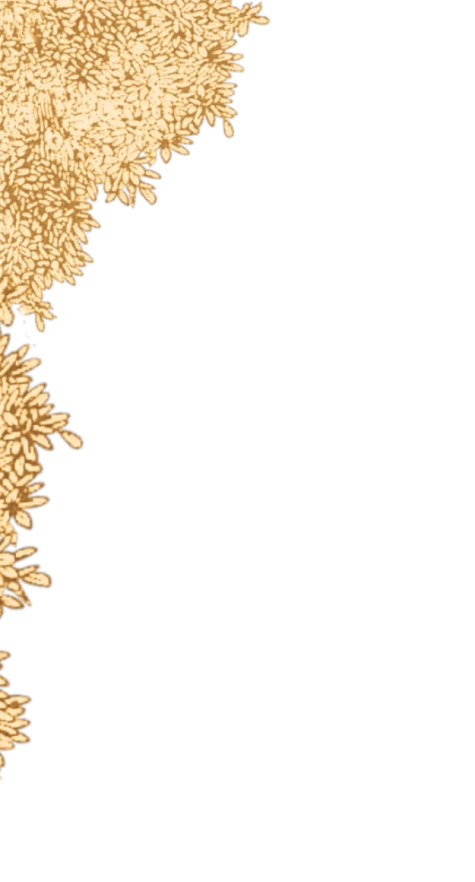 730292-gallery-o8bWNSob6R.webp