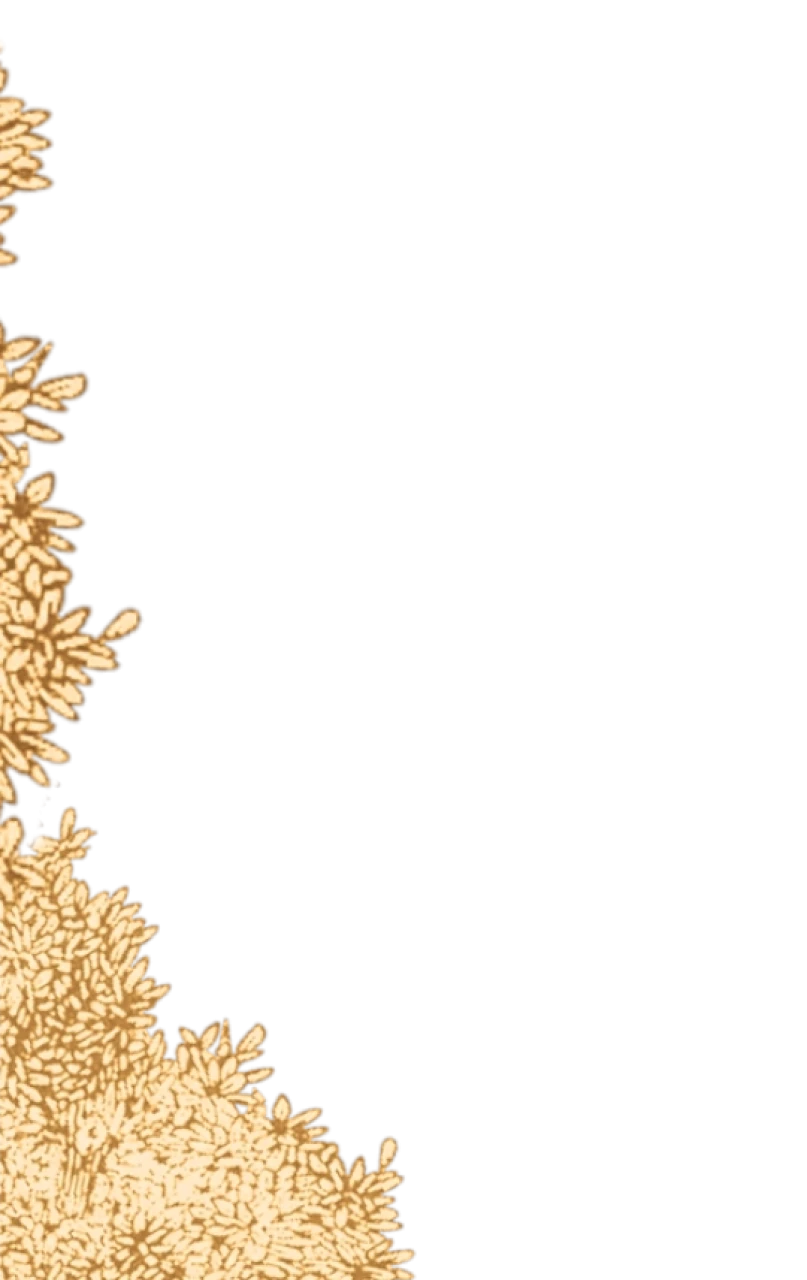 730292-gallery-txmSXxmPXo.webp
