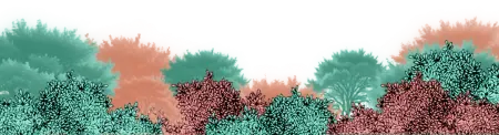 frame