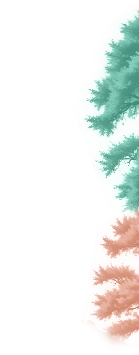 frame