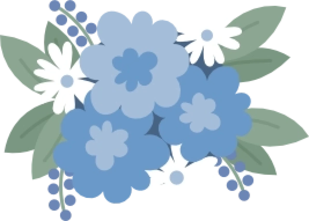 233328-gallery-oPePgJXNih.png