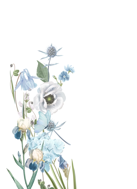 frame