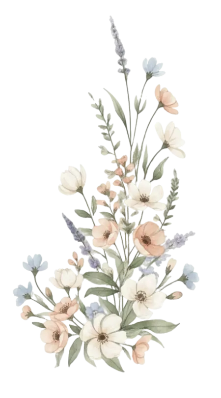 bl.webp
